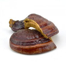 Load image into Gallery viewer, Reishi Mushroom 4oz