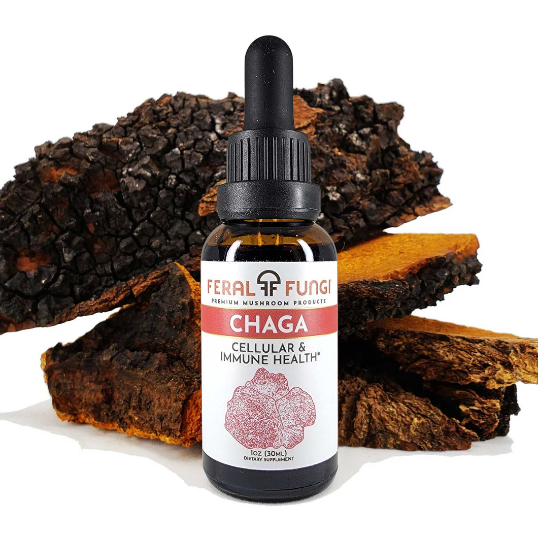 Chaga Spagyric Tincture