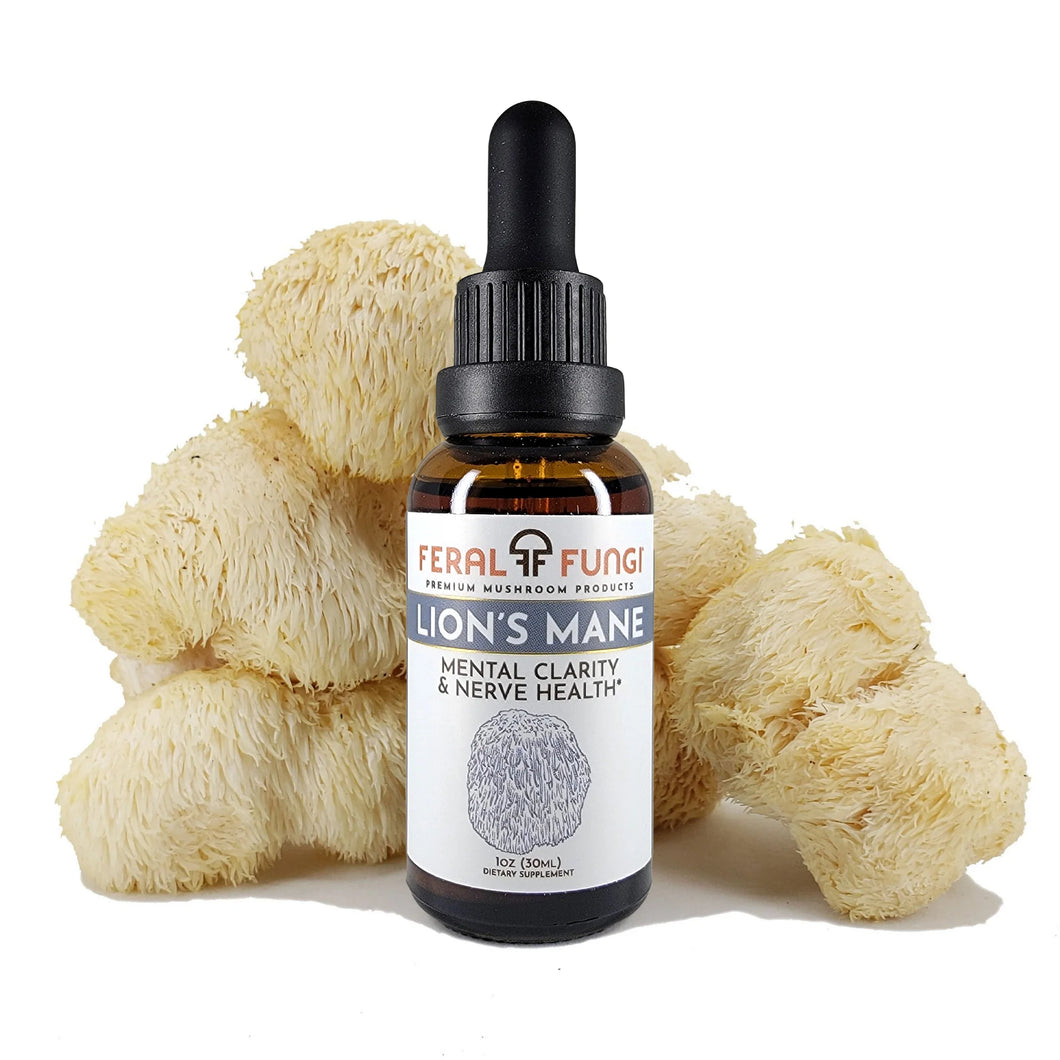 Lions Mane Spagyric Tincture