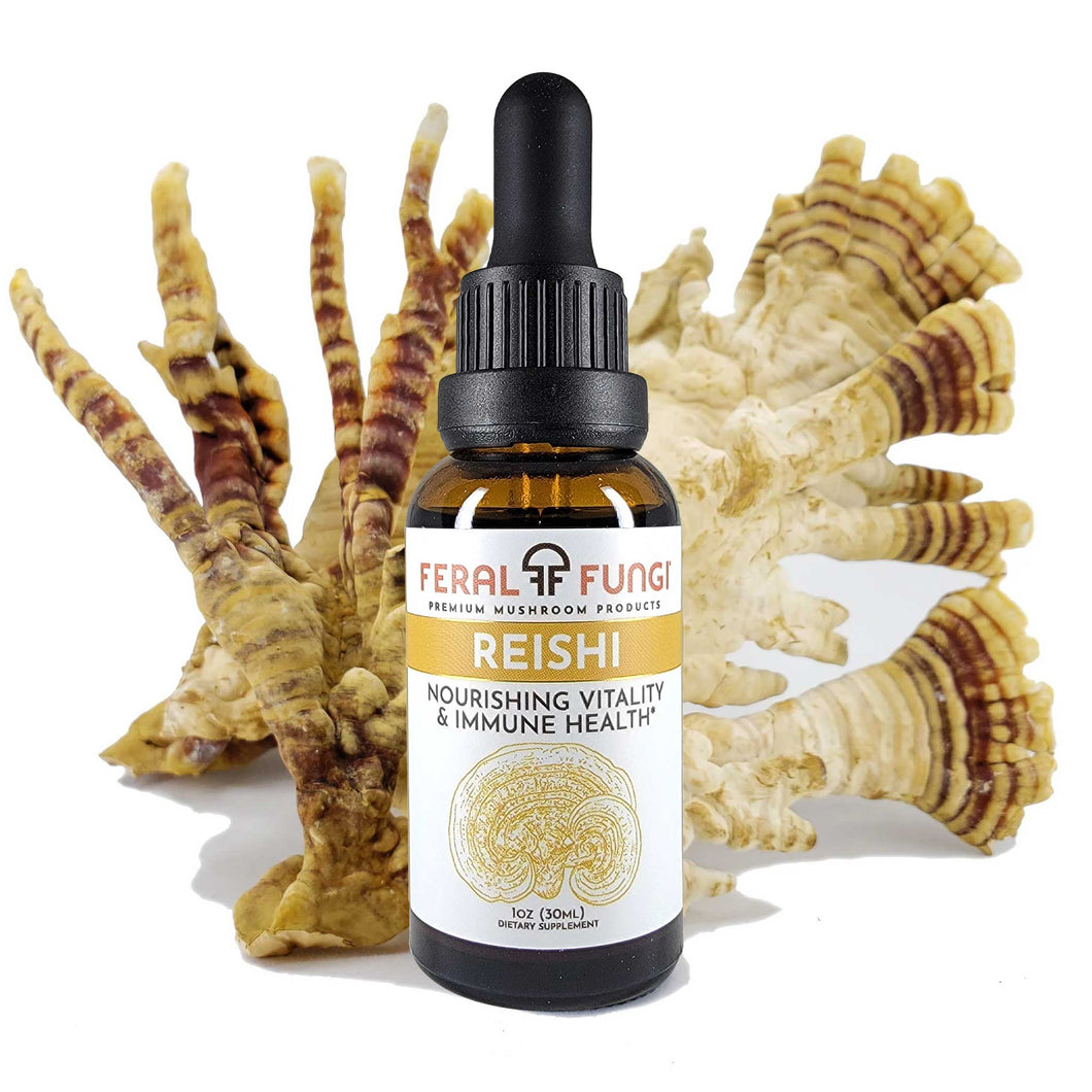 Reishi Spagyric Tincture
