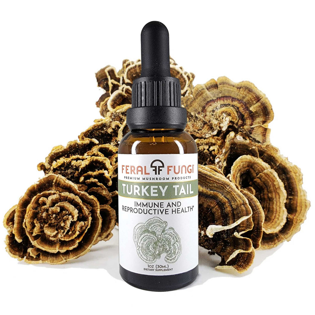 Turkey Tail Spagyric Tincture